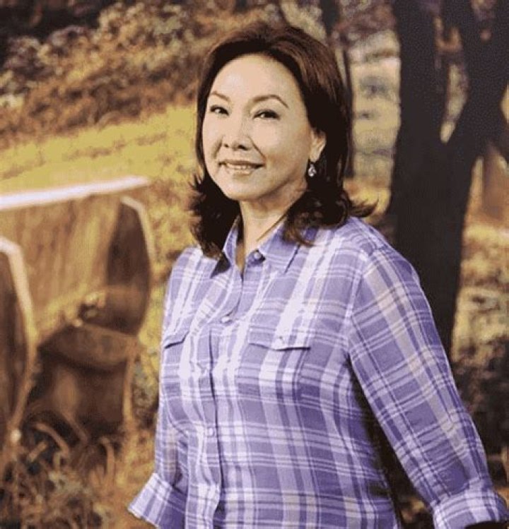 Mel Tiangco Husband: Relationship Timeline With Jay Sonza