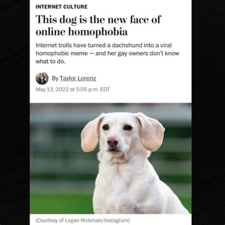 Rosa Salazar Is She Homophobic? The Truth About Internet Searches Is Here