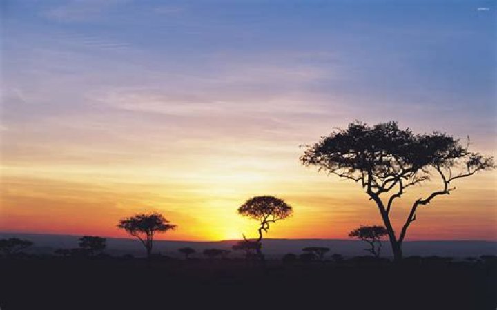 Sunset Safari
