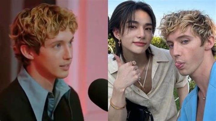 The Truth About Troye Sivan Sexuality And His Boyfriend