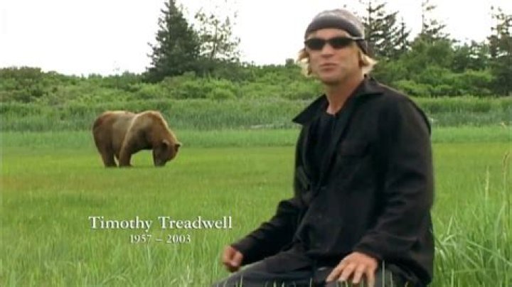 Timothy Treadwell Bear Attack Twitter And Autopsy: Real Video