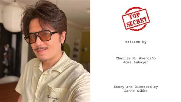 What Did Janno Gibbs Do In The Scandal? Arrest And Accusation